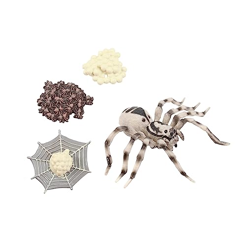 NOLITOY Realistisches Wolfsspinne Modell Simulation Tierfiguren Deko für Kindergeburtstag Mädchen Lernspielzeug und Pädagogische Rollenspiele NOLITOY Realistisches Wolfsspinne Modell Simulation Tierfiguren Deko für Kindergeburtstag Mädchen Lernspielzeug und Pädagogische Rollenspiele von NOLITOY
