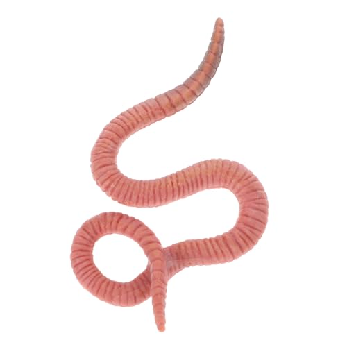 NOLITOY Regenwurmtiermodellspielzeug Wurmspielzeug Realistisch Insektenspielzeug Lebensechte Simulation Eines Insektenmodells Insektenmodell Insektenmodell Plastik NOLITOY Regenwurmtiermodellspielzeug Wurmspielzeug Realistisch Insektenspielzeug Lebensechte Simulation Eines Insektenmodells Insektenmodell Insektenmodell Plastik von NOLITOY