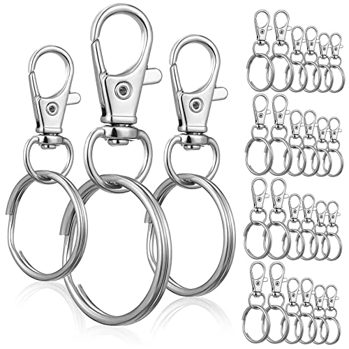 NOLITOY Schlüsselringclips Mit Karabinerhaken Je Und Ringe Für Schlüsselorganisation Und Handwerksprojekte von NOLITOY