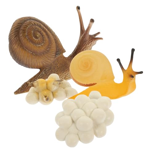 NOLITOY Snail Growth Cycle Modell Tierisches Lernspielzeug Biologisches Kognitionstool Leichtes Pädagogisches Kinderspielzeug Ab Monaten zur Naturkunde und Frühen Bildung NOLITOY Snail Growth Cycle Modell Tierisches Lernspielzeug Biologisches Kognitionstool Leichtes Pädagogisches Kinderspielzeug Ab Monaten zur Naturkunde und Frühen Bildung von NOLITOY
