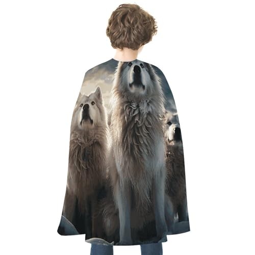 NONHAI Umhang mit Wolfsstamm für Damen und Herren, wendbarer Umhang, Halloween-Umhang, Halloween-Kostüme, Erwachsenen-Umhang für Cosplay-Party NONHAI Umhang mit Wolfsstamm für Damen und Herren, wendbarer Umhang, Halloween-Umhang, Halloween-Kostüme, Erwachsenen-Umhang für Cosplay-Party von NONHAI