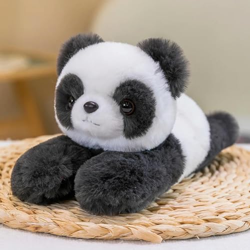 NOpinz Panda Puppe Plüschtier Kuscheltier Kinder Geburtstag 25cm 1 von NOpinz