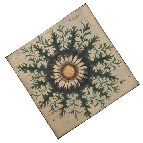 NPXUAMTJ Tarots Tischdecke Altäre Stoffblume Muster Astrologie Gotteskarten Karten Wandteppich Wanddekoration Blumenmuster Tarotkarte Spiritueller Decktuch von NPXUAMTJ