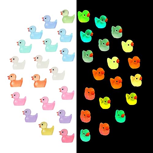 NQEUEPN 200 Stück Leuchtende Mini Enten, Mini Enten Figuren, im Dunkeln Leuchtende Kleine Enten für Heimwerker Handwerk Garten Landschaft Puppenhaus Ornament im Topf Zuhause Dekorationen (10 Farben) von NQEUEPN