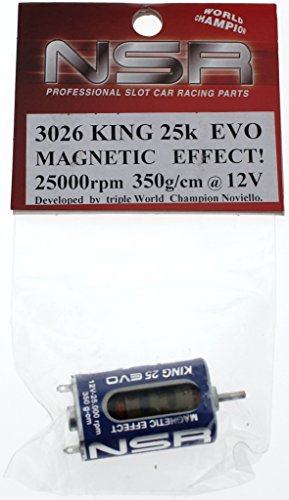 NSR Zubehör 803026 King 25000 EVO Magnetic 350g-cm von NSR