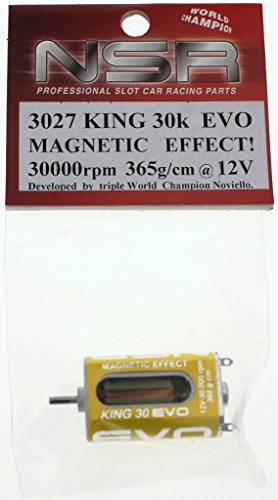 NSR Zubehör 803027 King 30000 EVO Magnetic 365g-cm von NSR