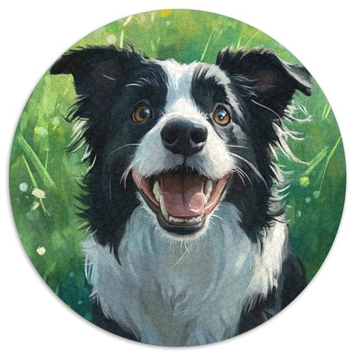 Der Border Collie 1000 Stück Künstlerisches Circular Puzzles Für Erwachsene Kinder Pädagogisches Präzise Schnittführung Bildungswert 1000pcs (67.5x67.5cm) von NTBSDVKDO