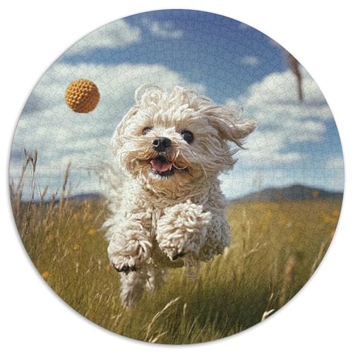 West Highland Weißer Terrier 1000 Stück DIY Rund Jigsaw Puzzle Für Erwachsene Kinder Schwieriges Unmögliches Puzzle Für Hohe Qualität Aus Recycelten Materialien Pädagogisches 1000pcs (67.5x67.5cm) West Highland Weißer Terrier 1000 Stück DIY Rund Jigsaw Puzzle Für Erwachsene Kinder Schwieriges Unmögliches Puzzle Für Hohe Qualität Aus Recycelten Materialien Pädagogisches 1000pcs (67.5x67.5cm) von NTBSDVKDO