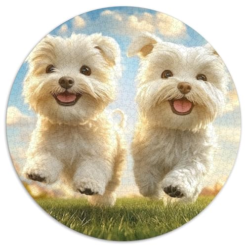 West Highland Weißer Terrier Rundes 1000 Puzzle Künstlerisches Puzzles Rundfür Erwachsene Kinder Großes Hohe Qualität Aus Recycelten Materialien Stressfreisetzung Spielzeug 1000pcs (67.5x67.5cm) von NTBSDVKDO
