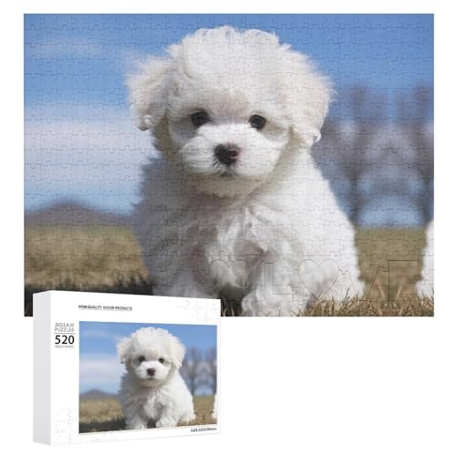 Puzzle für Erwachsene, Bichon Frisé, Hund, herausforderndes Spiel, Puzzle mit Buchstaben auf der Rückseite, personalisiertes Puzzle, perfekt für Spielabende, Heimdekoration, Geschenk Puzzle für Erwachsene, Bichon Frisé, Hund, herausforderndes Spiel, Puzzle mit Buchstaben auf der Rückseite, personalisiertes Puzzle, perfekt für Spielabende, Heimdekoration, Geschenk von NTVOWPZO
