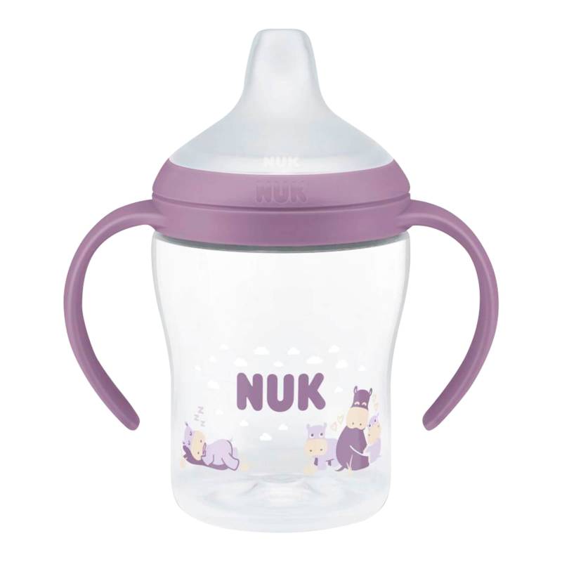 Nuk Trinklernflasche Perfect Match 150 ml Nuk Trinklernflasche Perfect Match 150 ml von NUK