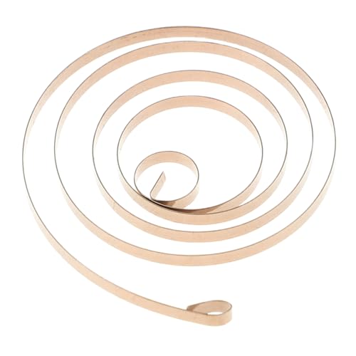 NULYLU Aufziehfeder für Wind Up Spring Zuverlässige Mechanische Spiralfeder Langlebig Stabile Kraft für DIY Mechanische Modelle und Aufziehspielzeuge NULYLU Aufziehfeder für Wind Up Spring Zuverlässige Mechanische Spiralfeder Langlebig Stabile Kraft für DIY Mechanische Modelle und Aufziehspielzeuge von NULYLU