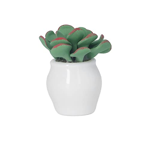 DIY Mini Bonsai Dollhouse Grüne Pflanze Miniatur für Kindersammler Inneneinrichtung Keramik Blumenpot 1:12 Skala von NUMNBE