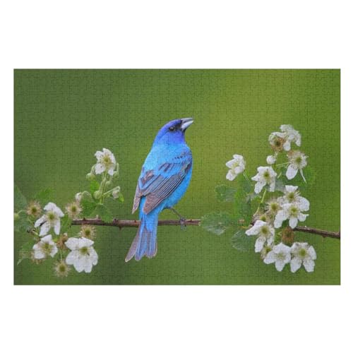 Puzzle für Erwachsene und Kinder ab 14 Jahren, 1000 StüCk，Blue Bird in The Spring，Lernspielzeug FüR Kinder Papier 70x50 von NUNETH