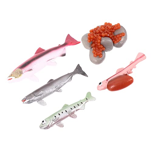 1 Satz Wachstumszyklus Kognitives Lernen Lachswachstumszyklus Für Pädagogisches Modellspielzeug Fischwachstumsmodell Lebenszyklus-Figur Plastik NUOBESTY 1 Satz Wachstumszyklus Kognitives Lernen Lachswachstumszyklus Für Pädagogisches Modellspielzeug Fischwachstumsmodell Lebenszyklus-Figur Plastik NUOBESTY von NUOBESTY