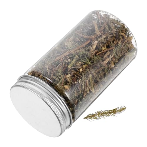NUOBESTY 1 Satz Sandschalenmodellbüsche Künstliches Gras Zum Basteln Modell Miniaturdioramen Wüstendiorama Mini-pflanzenspielzeug Sandtisch Kunstrasen Modelleisenbahn Gras Khaki Plastik von NUOBESTY
