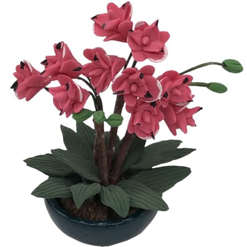 NUOBESTY Künstliche Blumen Gartenornamente Diorama Zubehör Set Dekoration Für Draußen Blumen Pflanzen Rasen Gartenrand Mini Blatt Puppenhaus Feengarten Landschaftsrand Figur NUOBESTY Künstliche Blumen Gartenornamente Diorama Zubehör Set Dekoration Für Draußen Blumen Pflanzen Rasen Gartenrand Mini Blatt Puppenhaus Feengarten Landschaftsrand Figur von NUOBESTY