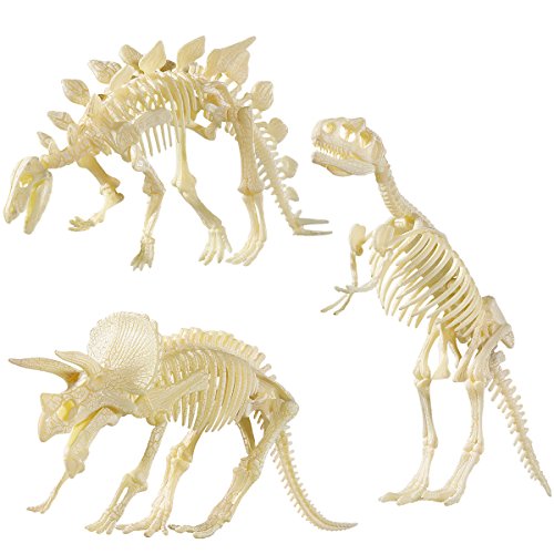 NUOLUX NUOLUX 4D Dinosaurier Fossil Skeleton Sortiert Dinosaurier Spielzeug DIY 3 Stücke Dino Knochen Fossilien Für Kinder Jungen Mädchen von NUOLUX