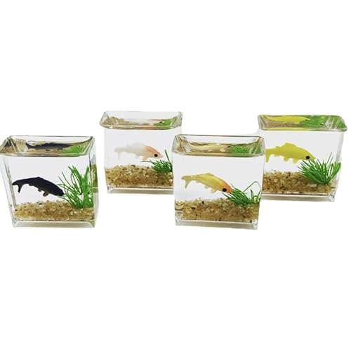 NURCIX Einzigartiges Mini/Runde Aquarium Miniatur Aquariumteich Aus Glas Für Puppenhaus Oder Modelldekoration Exquisite Detail Puppenhaus Dekoration NURCIX Einzigartiges Mini/Runde Aquarium Miniatur Aquariumteich Aus Glas Für Puppenhaus Oder Modelldekoration Exquisite Detail Puppenhaus Dekoration von NURCIX