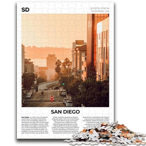 San Diego 1000-teiliges Puzzle für Erwachsene und Jugendliche, pädagogisches Spielzeug zum Stressabbau, ganze Familie, 1000 Teile (26x38cm) von NYANBFKEA