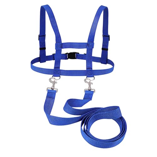 Pferdeleine zum Spielen für Kinder,Pferdegeschirr für Kinder für Jungen und Mädchen Rollenspiele,Outdoor Pferdeleine für ab 3 Jahren,für Kindergurte,Sicherheitsseile(Blau) von NYTGAH