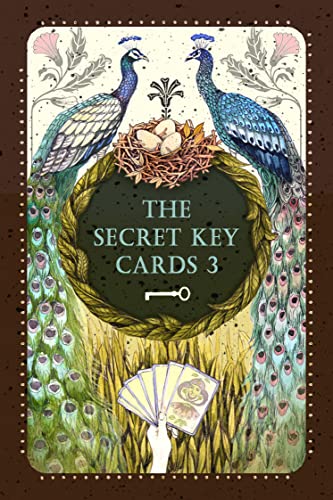 Nadine Breitenstein The Secret Key Cards 3 von Nadine Breitenstein