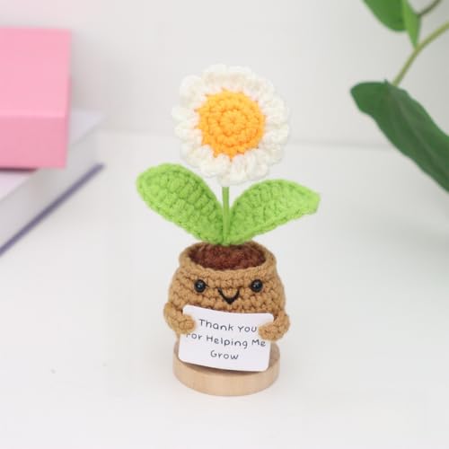 Nahida Pocket Hug Sonnenblume Crochet Doll with Positive Card – Danke Geschenk für Lehrer und Mütter. Kleine Geschenke für Schwestern, Kollegen, Beste Freundin Studenten。 (Gänseblümchen2) von Nahida