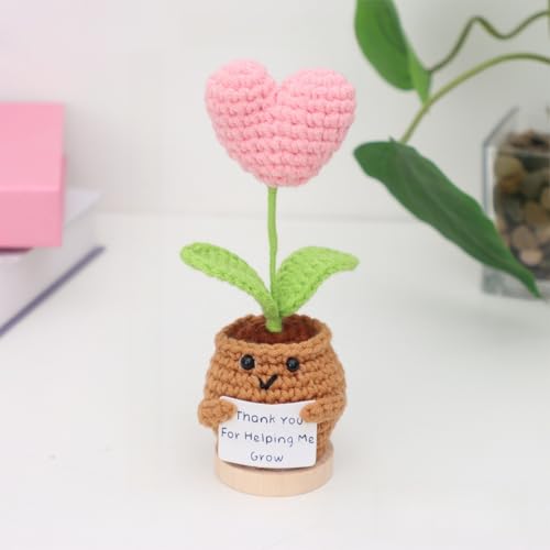 Nahida Pocket Hug Sonnenblume Crochet Doll with Positive Card – Danke Geschenk für Lehrer und Mütter. Kleine Geschenke für Schwestern, Kollegen, Beste Freundin Studenten。 (Liebe4) von Nahida