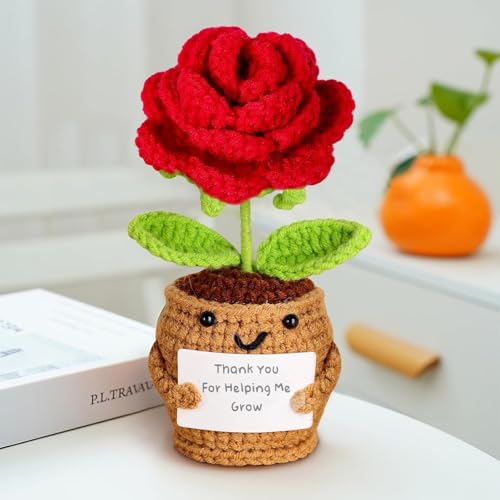 Nahida Pocket Hug Sonnenblume Crochet Doll with Positive Card – Danke Geschenk für Lehrer und Mütter. Kleine Geschenke für Schwestern, Kollegen, Beste Freundin Studenten。 (Rose3) von Nahida
