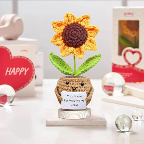 Nahida Pocket Hug Sonnenblume Crochet Doll with Positive Card – Danke Geschenk für Lehrer und Mütter. Kleine Geschenke für Schwestern, Kollegen, Beste Freundin Studenten。 (Sonnenblume1) von Nahida