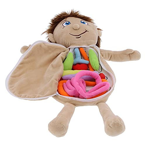 Naroote Anatomiepuppe, Anatomiespielzeug Anatomie für Menschlicher Körper Organe Vorschulbildung Bildungsorgel Plüschspielzeug für Anatomie Lernen Puppe Menschlicher Körper (#1) von Naroote