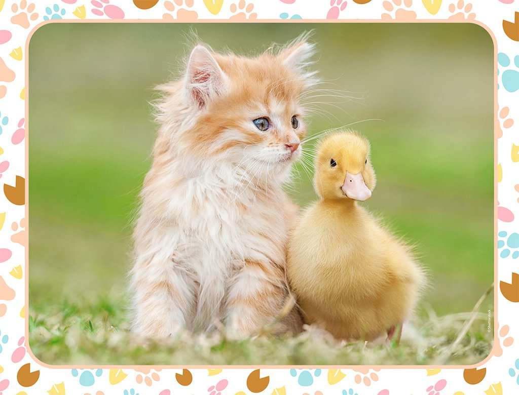 Nathan Ginger Kitten and Baby Duck 30 Teile Puzzle Nathan-86165 von Nathan