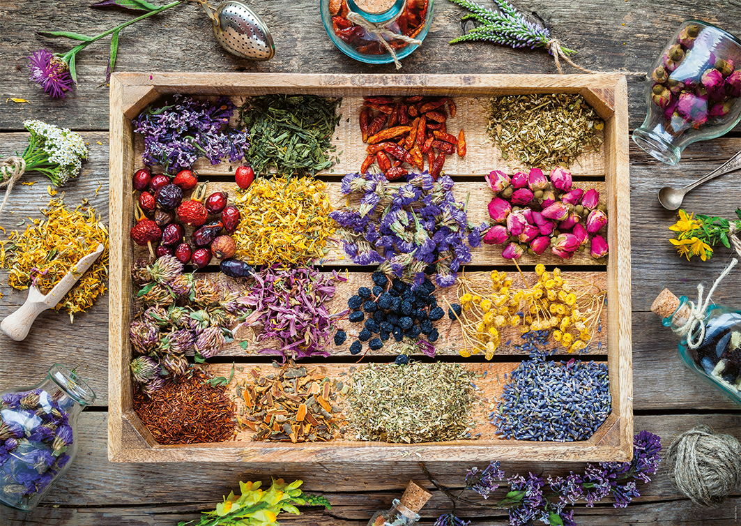 Nathan Heilpflanzen 1500 Teile Puzzle Nathan-01818 Nathan Heilpflanzen 1500 Teile Puzzle Nathan-01818 von Nathan