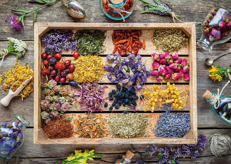 Nathan Heilpflanzen 1500 Teile Puzzle Nathan-01818 von Nathan