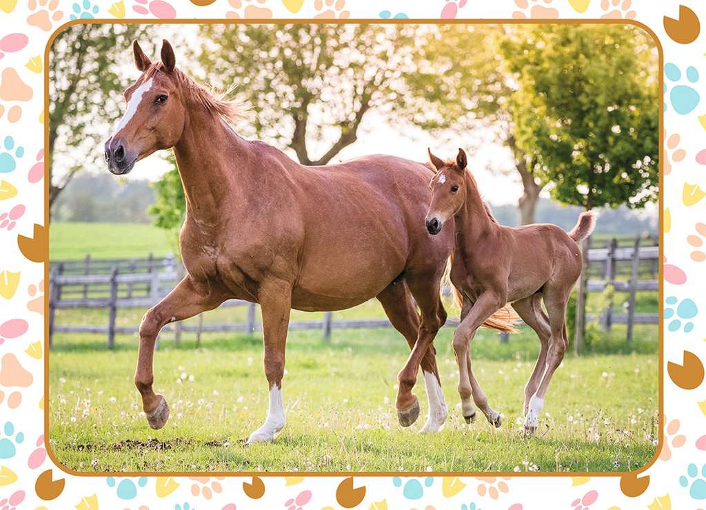 Nathan Mom and Baby Horse 60 Teile Puzzle Nathan-86167 Nathan Mom and Baby Horse 60 Teile Puzzle Nathan-86167 von Nathan