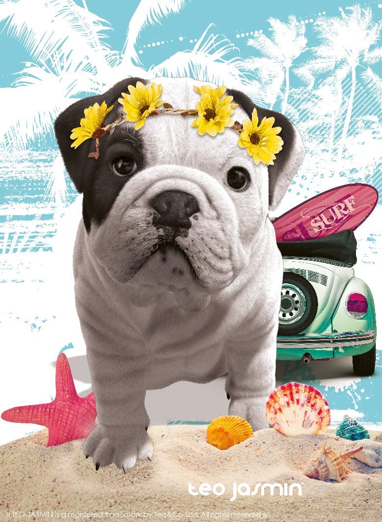 Nathan Téo California 500 Teile Puzzle Nathan-00953 Nathan Téo California 500 Teile Puzzle Nathan-00953 von Nathan