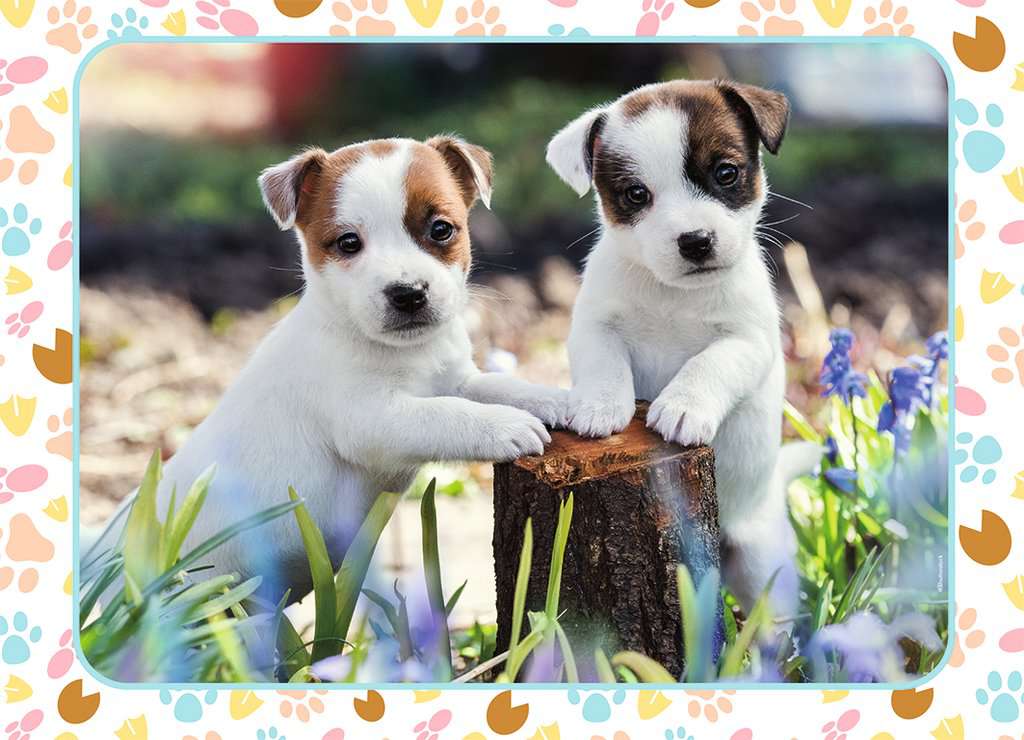 Nathan The Little Jack Russells 100 Teile Puzzle Nathan-86168 Nathan The Little Jack Russells 100 Teile Puzzle Nathan-86168 von Nathan