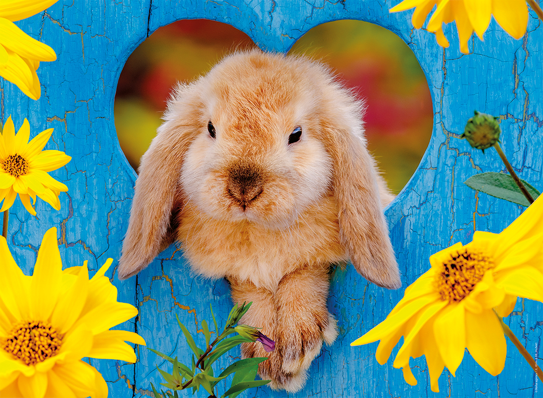 Nathan Zwergwidder-Hase 500 Teile Puzzle Nathan-01867 Nathan Zwergwidder-Hase 500 Teile Puzzle Nathan-01867 von Nathan