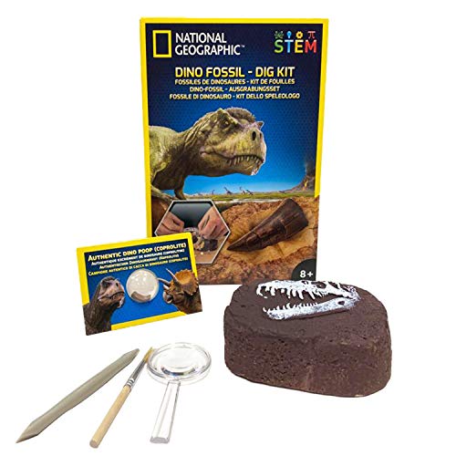 Bandai – National Geographic – Ausgrabungsset: Dinosaurier-Fossilien – Version 2 – Bildungs- und Wissenschaftsspiel – STEM – JM80215 von National Geographic