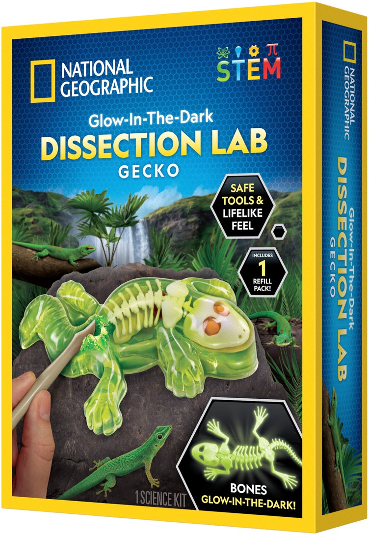 National Geographic Gecko Sezier-Laborset von National Geographic