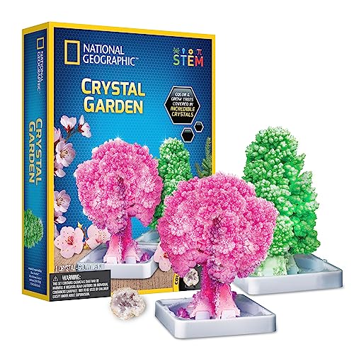 National Geographic Kristall-Garten-Anzucht-Set für Kinder – pädagogische Wissenschafts-Sets für Kinder ab 8 Jahren, wachsen echte Rosenquarz-Kristallbäume, MINT-Geschenke für Jungen und Mädchen ab 8 von National Geographic