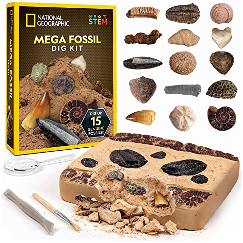 NATIONAL GEOGRAPHIC Mega Fossil Dig Kit - Ausgrabung von 15 echten prähistorischen Fossilien, Kinder-Fossilien-Set, pädagogisches Spielzeug, großartiges (exklusiv bei Amazon) von National Geographic