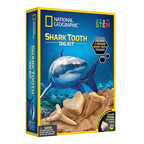 National Geographic RTNGSHARKINT Shark Tooth von National Geographic
