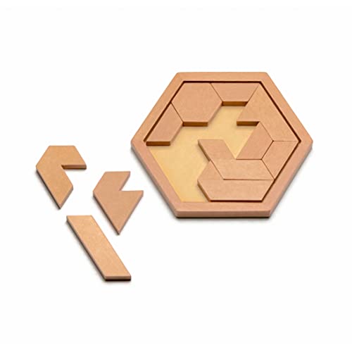 Natureich Pädagogisches Rätsel Montessori Holz Steck Puzzle, Kniffelspiel, Denkaufgabe geometrische Formen Logik Geduld Brettspiel Motorik Knobel Holzspielzeug Classic Games Jungen Mädchen ab 4 Jahre von Natureich