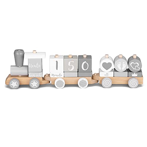Navaris Holz Eisenbahn Holzzug für Kinder - Zug Holzspielzeug mit Buchstaben Zahlen - Baby Spielzeug personalisierbar - Deko Holzeisenbahn - 20 Teile von Navaris