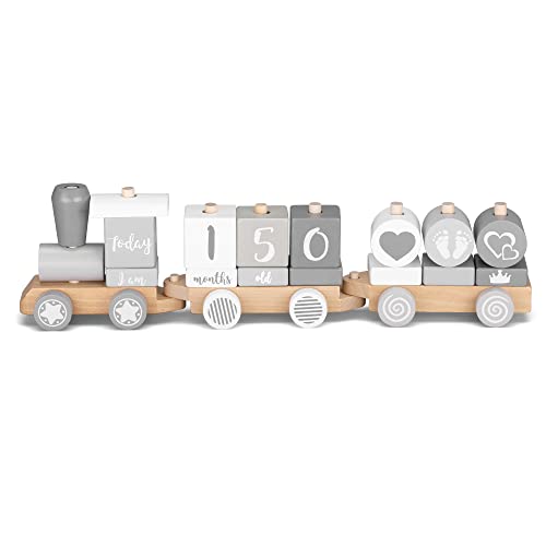 Navaris Holzzug für Kinder - Zug Holzspielzeug mit Buchstaben Zahlen in Englisch - Baby Spiel personalisierbar - Deko Holzeisenbahn - 20 Teile von Navaris