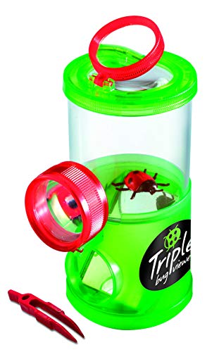 Navir navir8030/Te Triple Bug Viewer im Display (12-teilig) von Navir