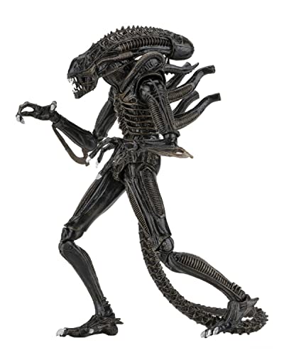 NECA Ultimate Alien Warrior Figur, Braun, Mehrfarbig (634482516836) von NECA