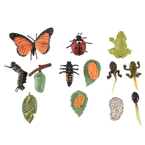 Nettoppo 3 SäTze Insekten Figuren Lebens Zyklus Von Schmetterlings Marien Safariologie Wachstums Zyklus Modell Bildung Spielzeug von Nettoppo