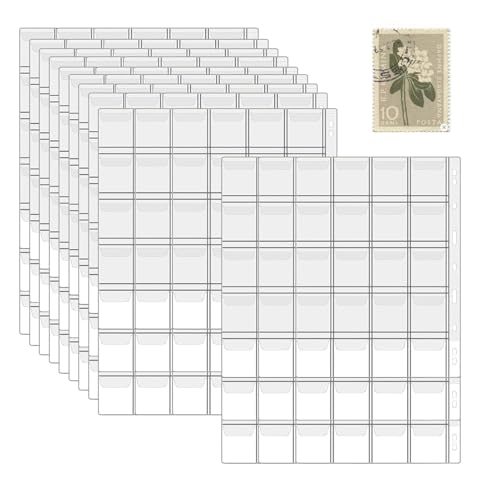 Paper Money Collection Album - Currency Collection Book, Coin Holder Album | Transparente Seiten, Tragbarer Sammlerspeicher, Sicherer Währungsorganisator, Langlebiges Banknote -Album, Keepsake Gift, B Paper Money Collection Album - Currency Collection Book, Coin Holder Album | Transparente Seiten, Tragbarer Sammlerspeicher, Sicherer Währungsorganisator, Langlebiges Banknote -Album, Keepsake Gift, B von NevPuose